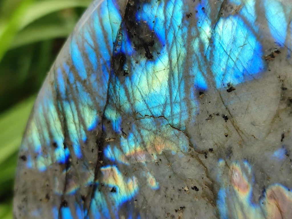 Polished Labradorite Standing Display Pieces x 2 From Tulear, Madagascar - Toprock Gemstones and Minerals 