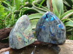 Polished Labradorite Standing Display Pieces x 2 From Tulear, Madagascar - Toprock Gemstones and Minerals 