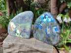 Polished Labradorite Standing Display Pieces x 2 From Tulear, Madagascar - Toprock Gemstones and Minerals 