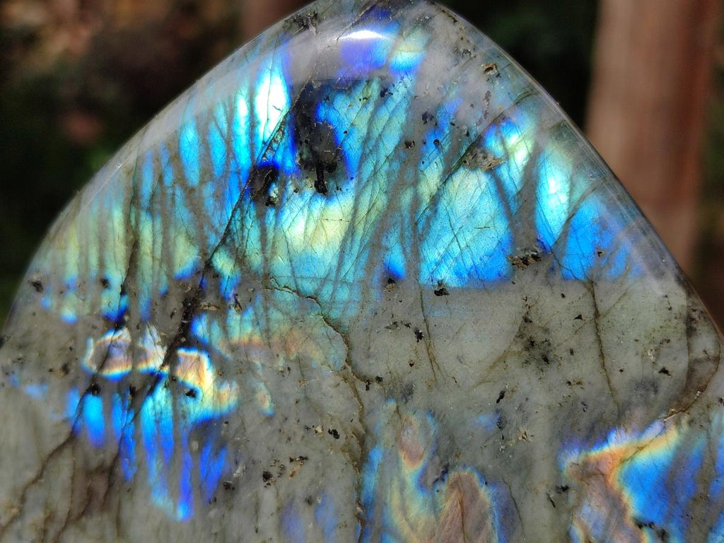 Polished Labradorite Standing Display Pieces x 2 From Tulear, Madagascar - Toprock Gemstones and Minerals 