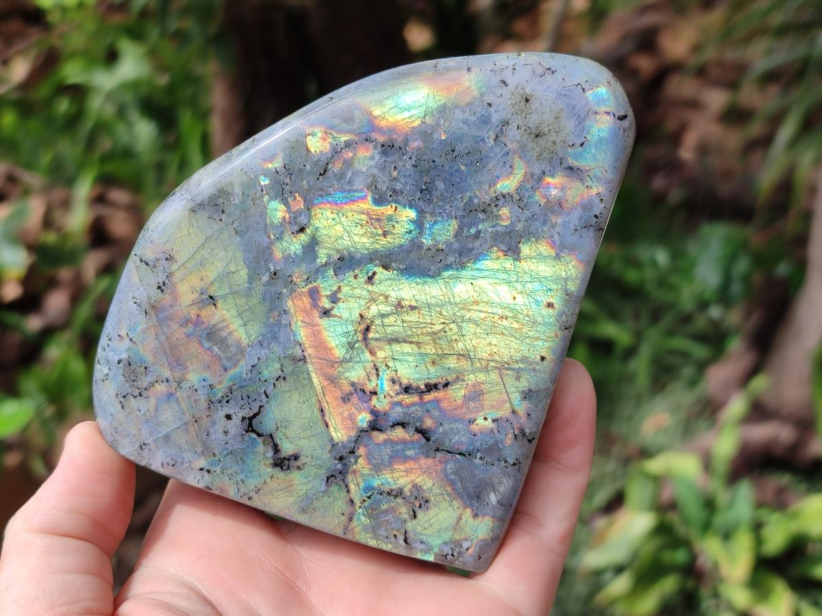 Polished Labradorite Standing Display Pieces x 2 From Tulear, Madagascar - Toprock Gemstones and Minerals 