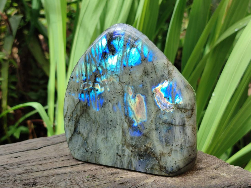 Polished Labradorite Standing Display Pieces x 2 From Tulear, Madagascar - Toprock Gemstones and Minerals 