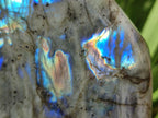 Polished Labradorite Standing Display Pieces x 2 From Tulear, Madagascar - Toprock Gemstones and Minerals 
