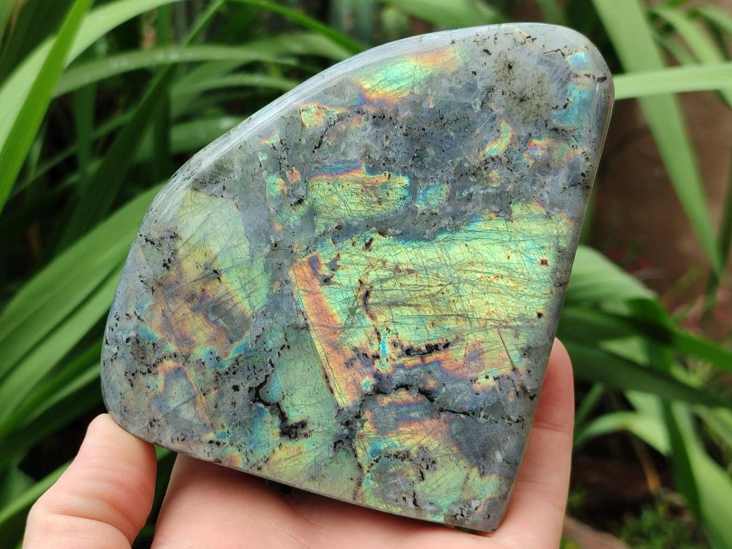 Polished Labradorite Standing Display Pieces x 2 From Tulear, Madagascar - Toprock Gemstones and Minerals 