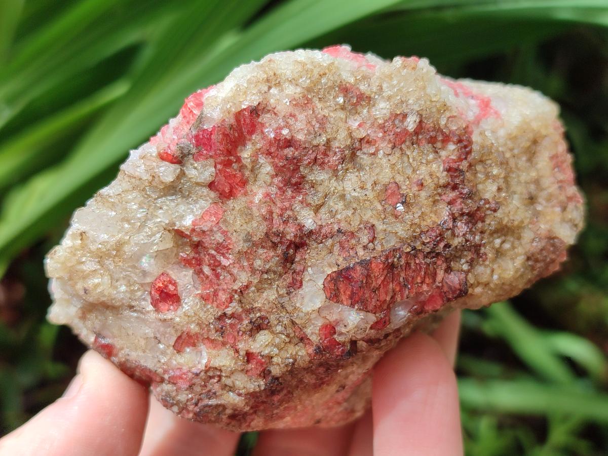 Natural Cobbed Rhodonite Specimens x 12 From Rhusinga, Zimbabwe - Toprock Gemstones and Minerals 