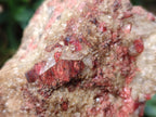 Natural Cobbed Rhodonite Specimens x 12 From Rhusinga, Zimbabwe - Toprock Gemstones and Minerals 
