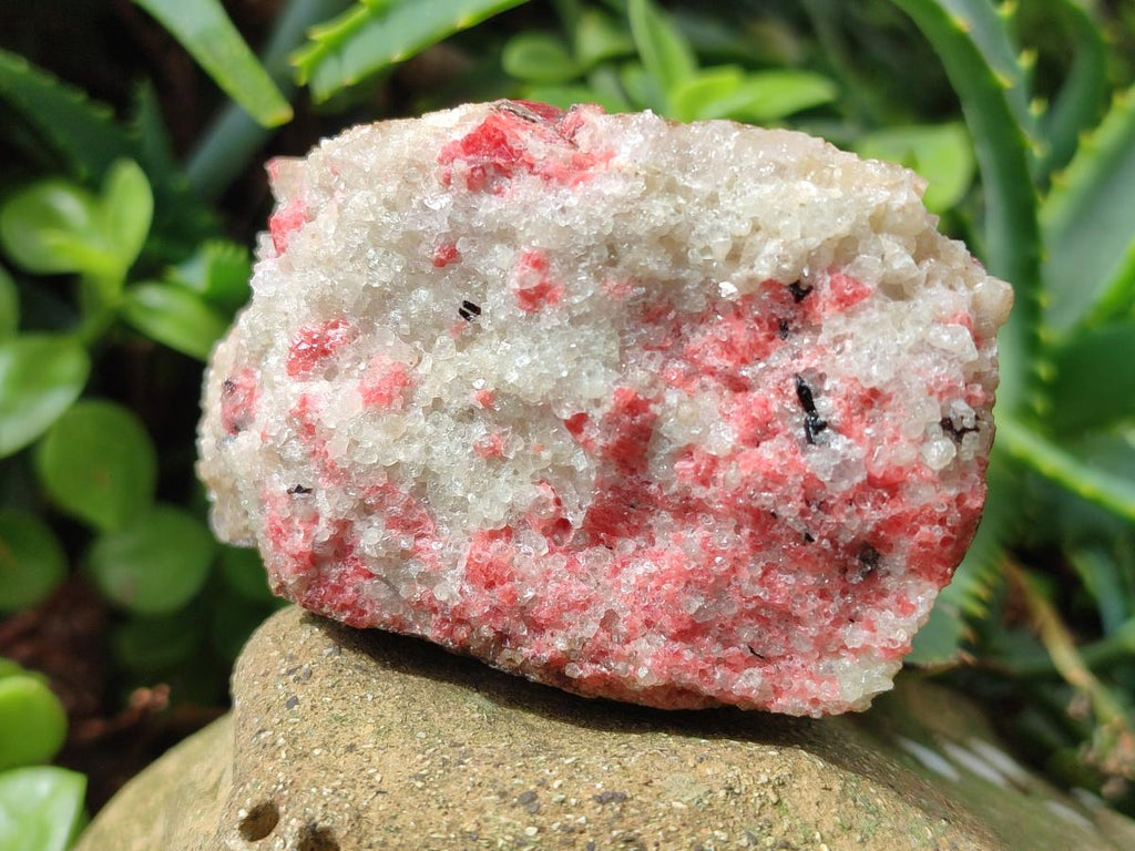 Natural Cobbed Rhodonite Specimens x 12 From Rhusinga, Zimbabwe - Toprock Gemstones and Minerals 