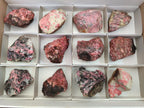 Natural Cobbed Rhodonite Specimens x 12 From Rhusinga, Zimbabwe - Toprock Gemstones and Minerals 