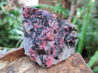 Natural Cobbed Rhodonite Specimens x 12 From Rhusinga, Zimbabwe - Toprock Gemstones and Minerals 