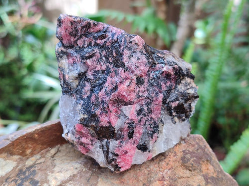 Natural Cobbed Rhodonite Specimens x 12 From Rhusinga, Zimbabwe - Toprock Gemstones and Minerals 