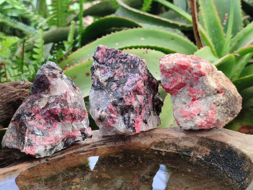 Natural Cobbed Rhodonite Specimens x 12 From Rhusinga, Zimbabwe - Toprock Gemstones and Minerals 