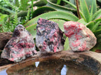 Natural Cobbed Rhodonite Specimens x 12 From Rhusinga, Zimbabwe - Toprock Gemstones and Minerals 