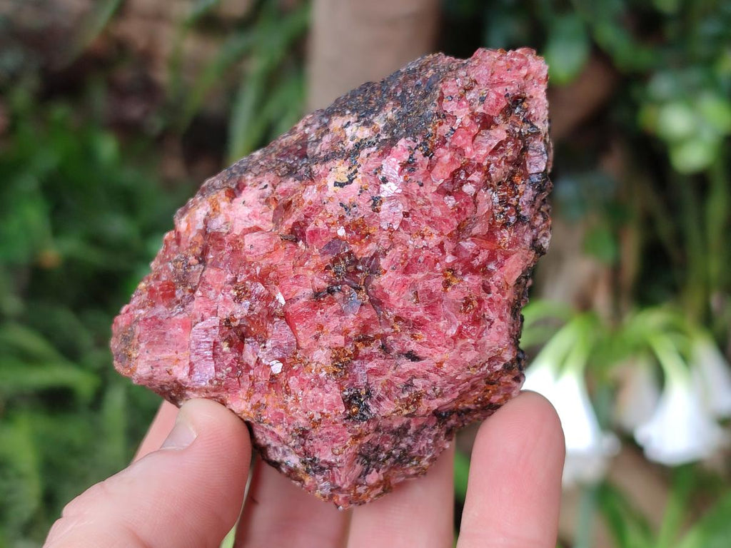 Natural Cobbed Rhodonite Specimens x 12 From Rhusinga, Zimbabwe - Toprock Gemstones and Minerals 
