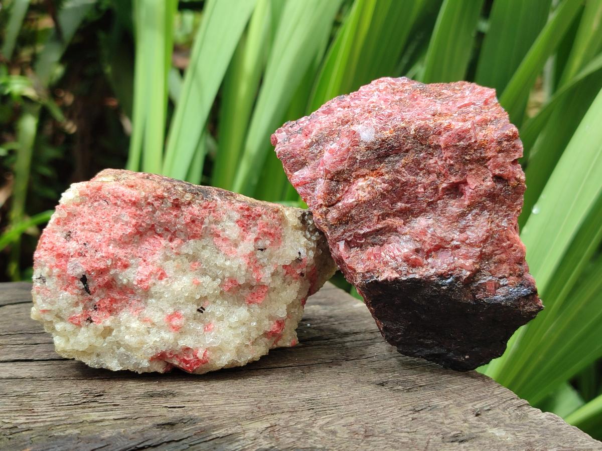 Natural Cobbed Rhodonite Specimens x 12 From Rhusinga, Zimbabwe - Toprock Gemstones and Minerals 