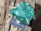 Polished One Side Mtorolite Chrysoprase Slices x 6 From Mutorashanga, Zimbabwe - Toprock Gemstones and Minerals 