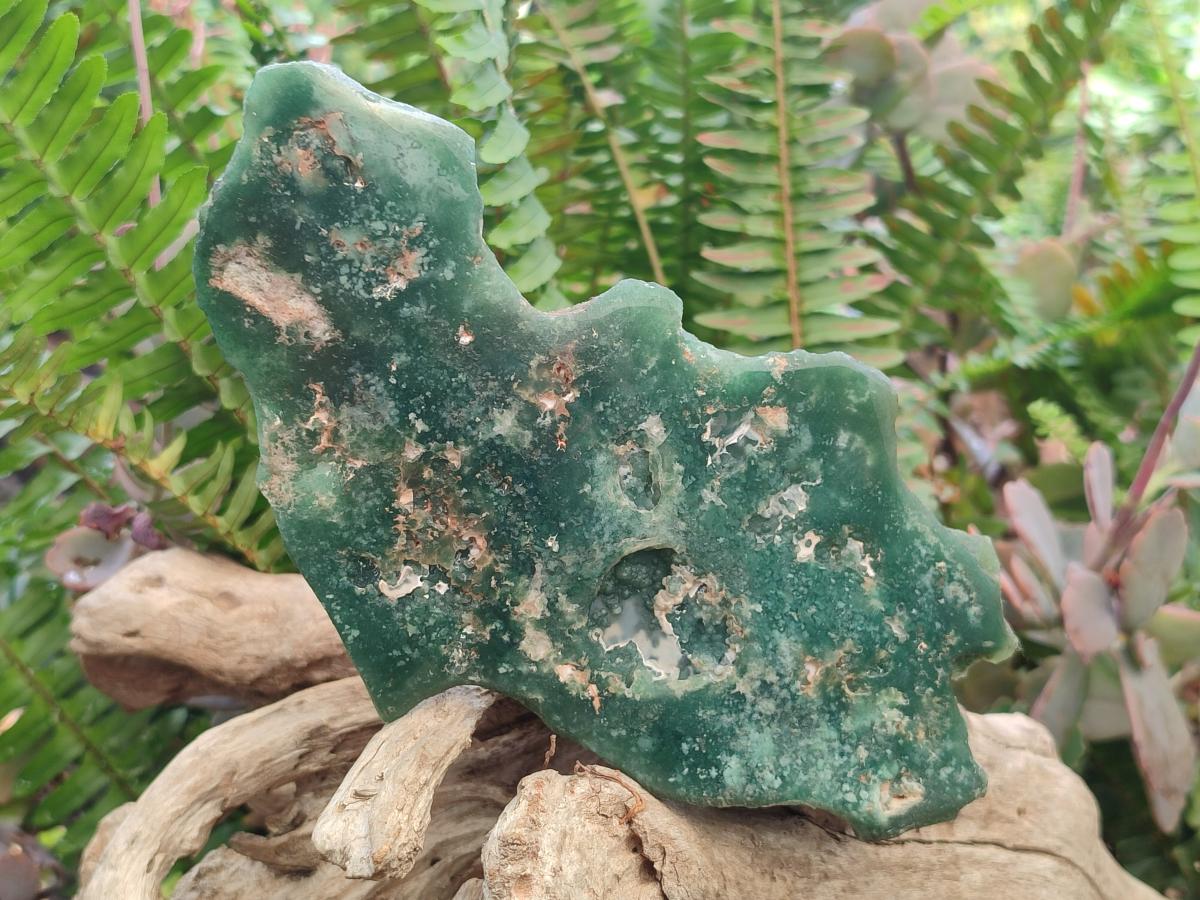 Polished One Side Mtorolite Chrysoprase Slices x 6 From Mutorashanga, Zimbabwe - Toprock Gemstones and Minerals 