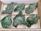 Polished One Side Mtorolite Chrysoprase Slices x 6 From Mutorashanga, Zimbabwe - Toprock Gemstones and Minerals 