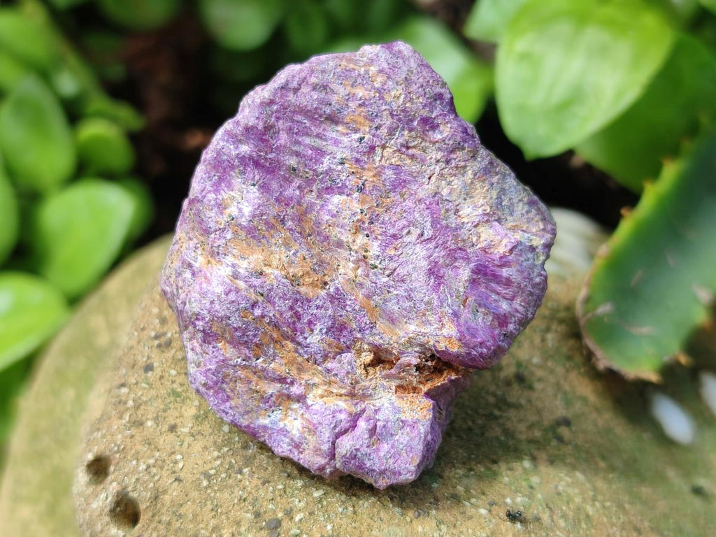Natural Cobbed Stichtite Specimens x 70 From Barberton, South Africa - Toprock Gemstones and Minerals 