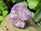 Natural Cobbed Stichtite Specimens x 70 From Barberton, South Africa - Toprock Gemstones and Minerals 