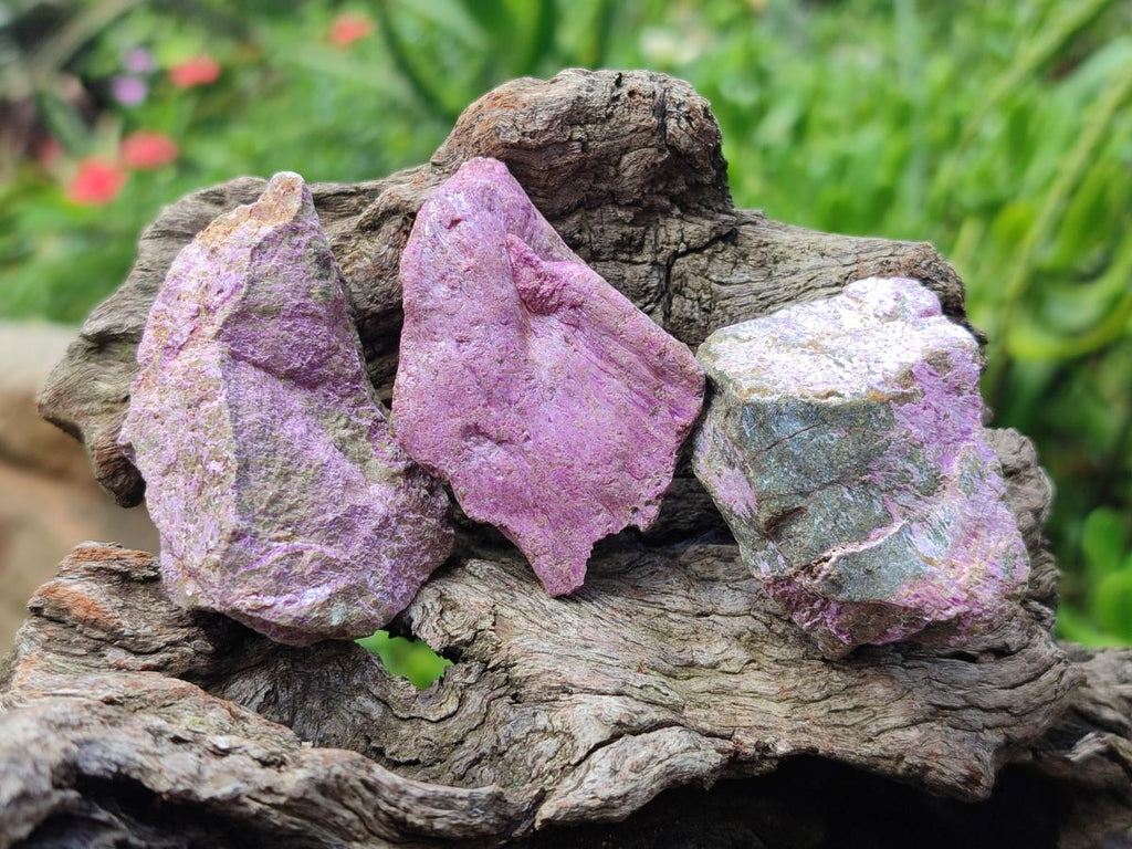 Natural Cobbed Stichtite Specimens x 70 From Barberton, South Africa - Toprock Gemstones and Minerals 