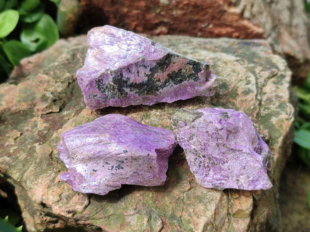 Natural Cobbed Stichtite Specimens x 70 From Barberton, South Africa - Toprock Gemstones and Minerals 