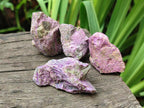 Natural Cobbed Stichtite Specimens x 70 From Barberton, South Africa - Toprock Gemstones and Minerals 
