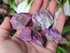 Natural Cobbed Stichtite Specimens x 70 From Barberton, South Africa - Toprock Gemstones and Minerals 