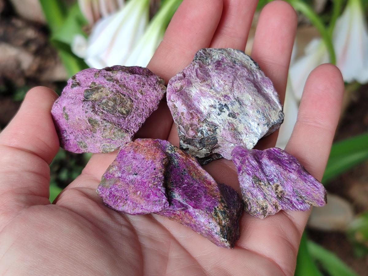Natural Cobbed Stichtite Specimens x 70 From Barberton, South Africa - Toprock Gemstones and Minerals 