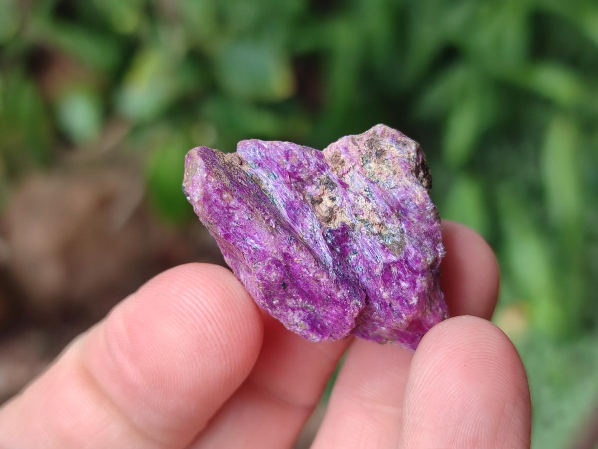 Natural Cobbed Stichtite Specimens x 70 From Barberton, South Africa - Toprock Gemstones and Minerals 