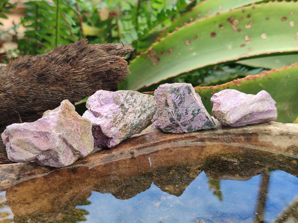 Natural Cobbed Stichtite Specimens x 70 From Barberton, South Africa - Toprock Gemstones and Minerals 