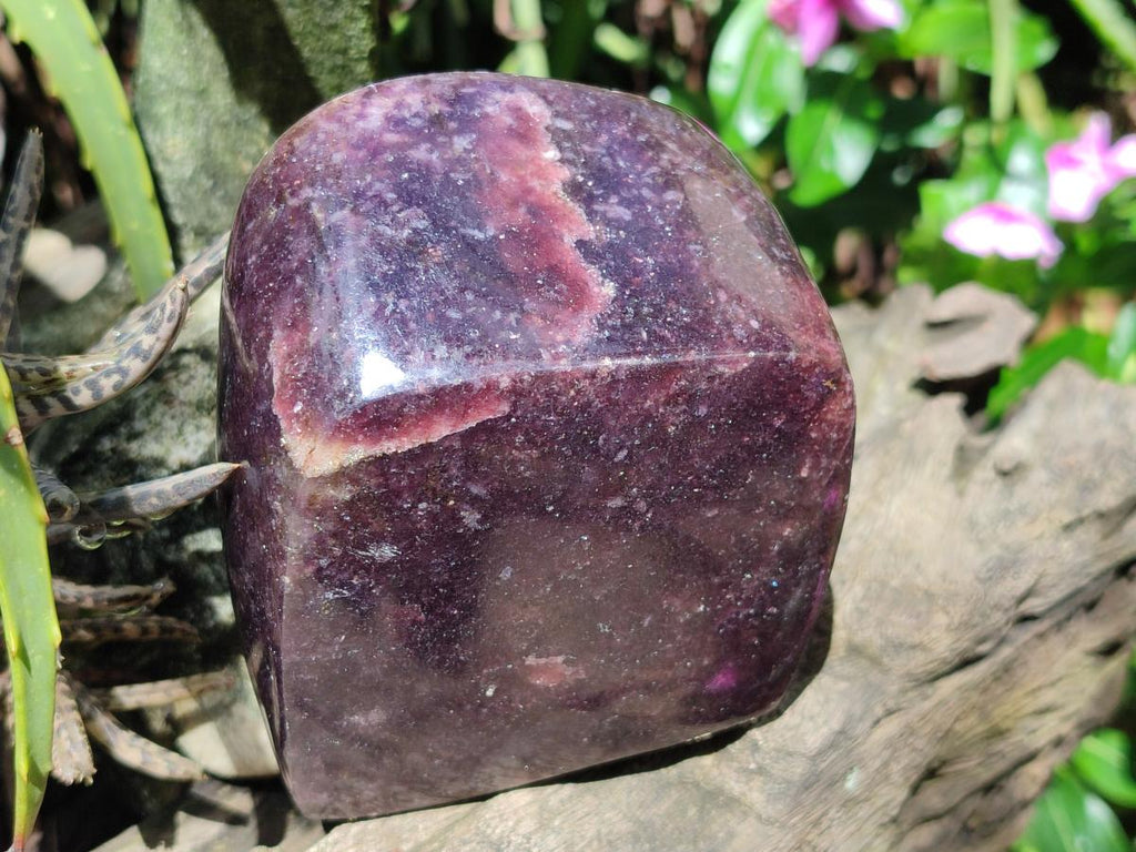Polished Large Lepidolite Free Forms x 4 From Zimbabwe - Toprock Gemstones and Minerals 