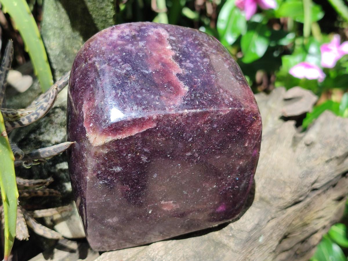Polished Large Lepidolite Free Forms x 4 From Zimbabwe - Toprock Gemstones and Minerals 