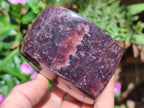 Polished Large Lepidolite Free Forms x 4 From Zimbabwe - Toprock Gemstones and Minerals 