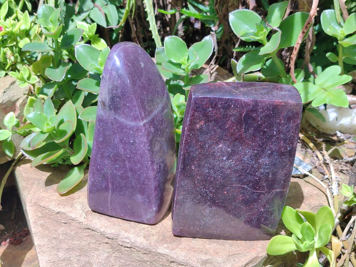 Polished Large Lepidolite Free Forms x 4 From Zimbabwe - Toprock Gemstones and Minerals 