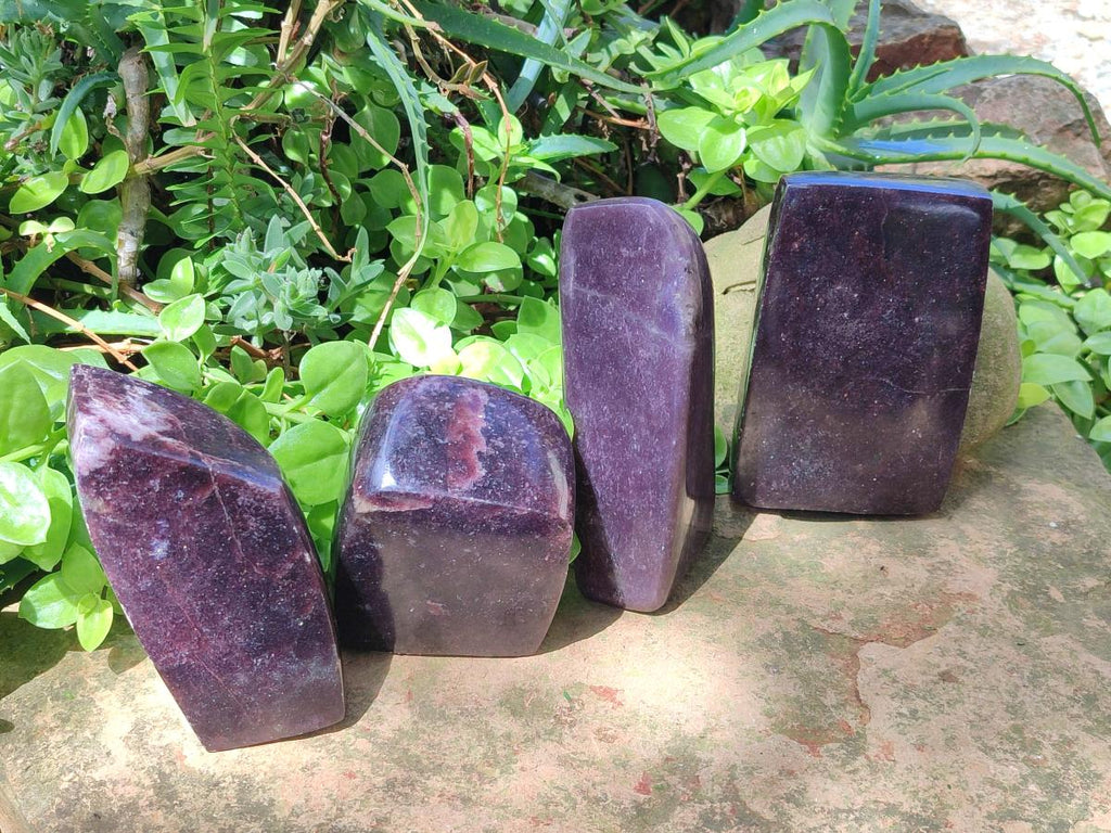 Polished Large Lepidolite Free Forms x 4 From Zimbabwe - Toprock Gemstones and Minerals 