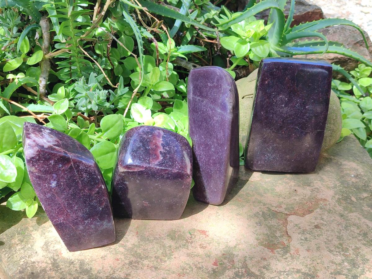 Polished Large Lepidolite Free Forms x 4 From Zimbabwe - Toprock Gemstones and Minerals 