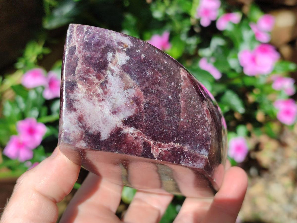 Polished Large Lepidolite Free Forms x 4 From Zimbabwe - Toprock Gemstones and Minerals 