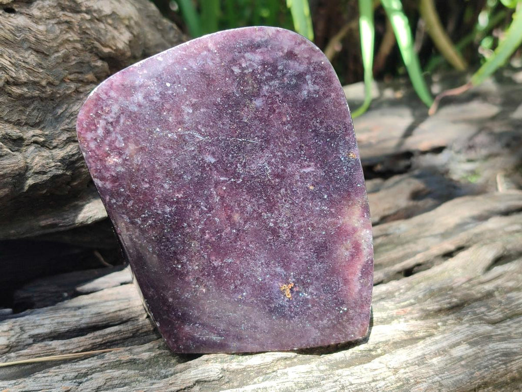 Polished Large Lepidolite Free Forms x 4 From Zimbabwe - Toprock Gemstones and Minerals 