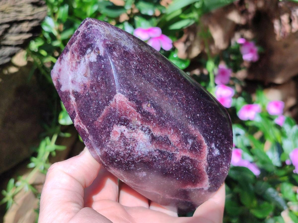 Polished Large Lepidolite Free Forms x 4 From Zimbabwe - Toprock Gemstones and Minerals 