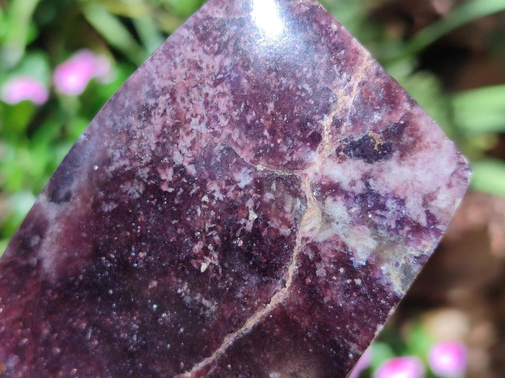 Polished Large Lepidolite Free Forms x 4 From Zimbabwe - Toprock Gemstones and Minerals 