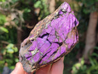 Natural Metallic Cobbed Purpurite Specimens x 6 From Erongo, Namibia - Toprock Gemstones and Minerals 