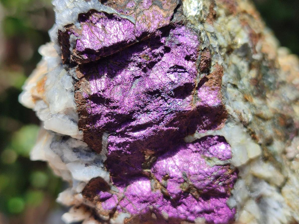 Natural Metallic Cobbed Purpurite Specimens x 6 From Erongo, Namibia - Toprock Gemstones and Minerals 