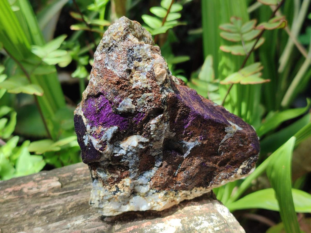 Natural Metallic Cobbed Purpurite Specimens x 6 From Erongo, Namibia - Toprock Gemstones and Minerals 