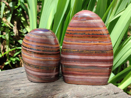 Polished Banded Tiger Iron Standing Display Pieces x 2 From South Africa - Toprock Gemstones and Minerals 