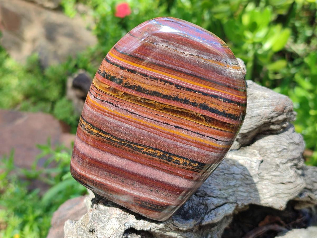 Polished Banded Tiger Iron Standing Display Pieces x 2 From South Africa - Toprock Gemstones and Minerals 