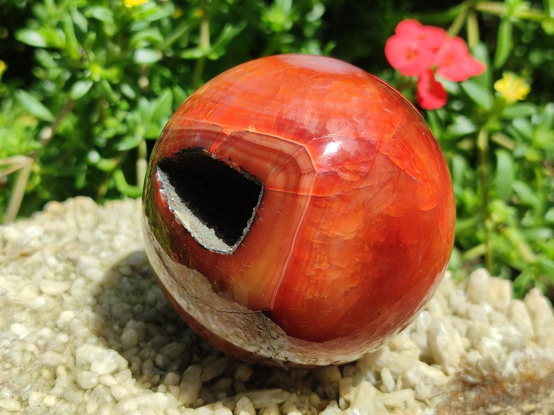 Polished and Natural Carnelian Agate Gemstone Spheres x 2 From Madagascar - Toprock Gemstones and Minerals 