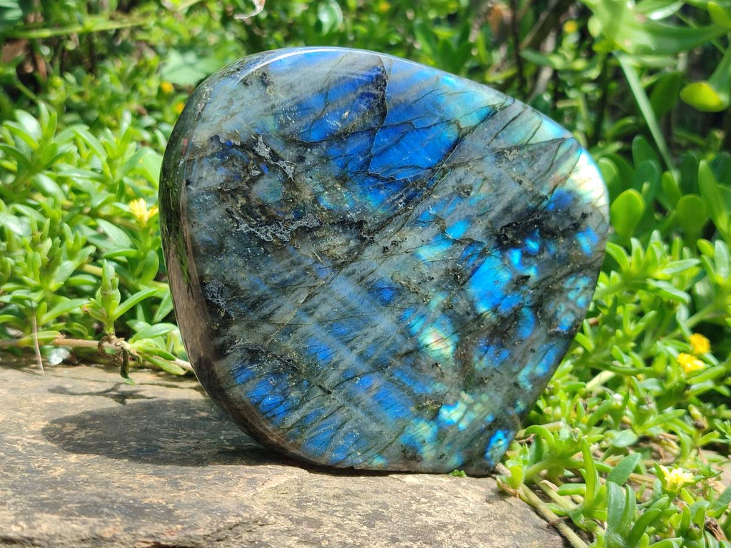 Polished Labradorite Standing Display Pieces x 2 From Madagascar - Toprock Gemstones and Minerals 