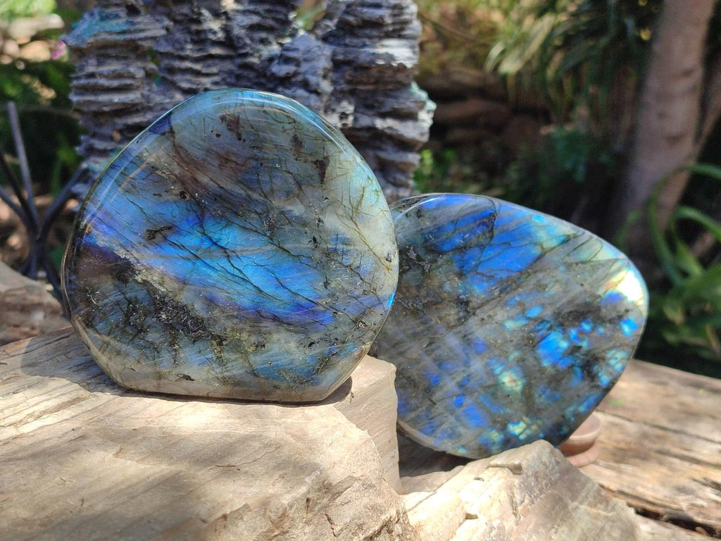 Polished Labradorite Standing Display Pieces x 2 From Madagascar - Toprock Gemstones and Minerals 
