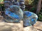 Polished Labradorite Standing Display Pieces x 2 From Madagascar - Toprock Gemstones and Minerals 