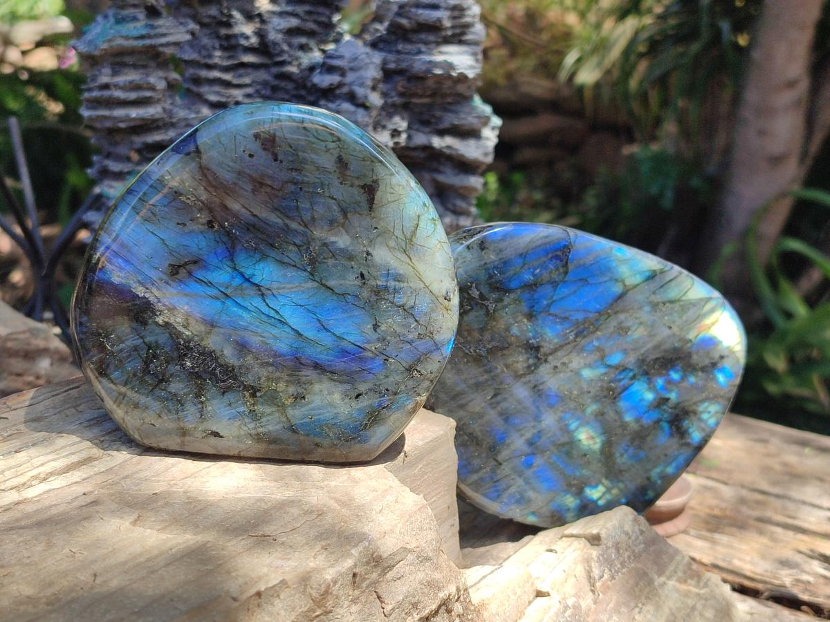 Polished Labradorite Standing Display Pieces x 2 From Madagascar - Toprock Gemstones and Minerals 